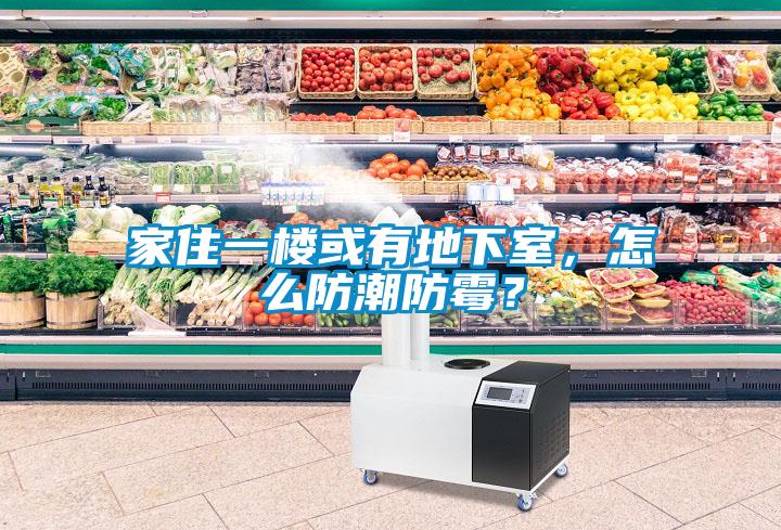 家住一樓或有地下室，怎么防潮防霉？