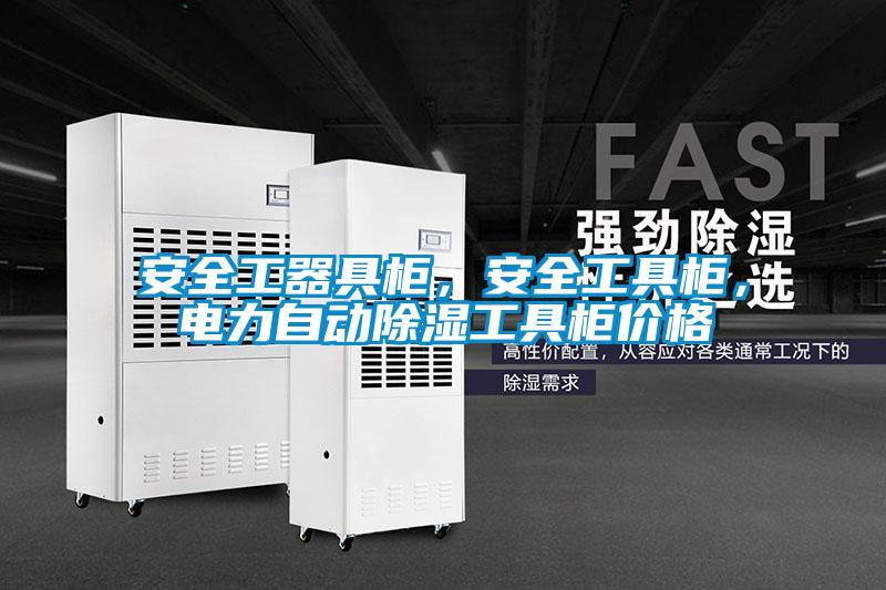 安全工器具柜，安全工具柜，電力自動除濕工具柜價格