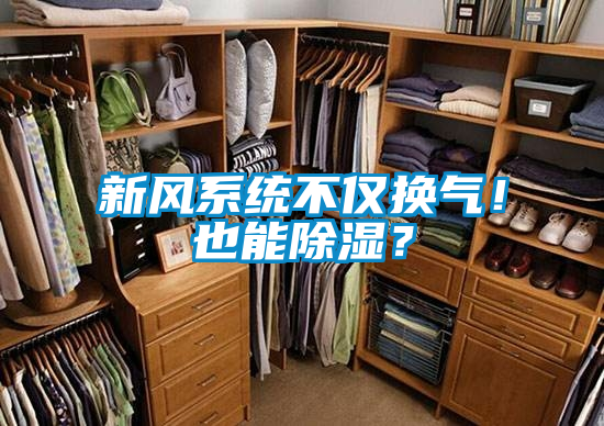 新風系統不僅換氣！也能除濕？