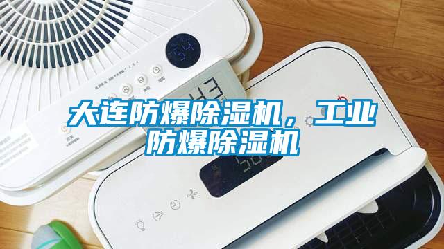 大連防爆除濕機，工業防爆除濕機