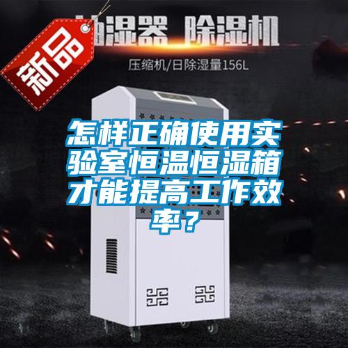 怎樣正確使用實驗室恒溫恒濕箱才能提高工作效率？