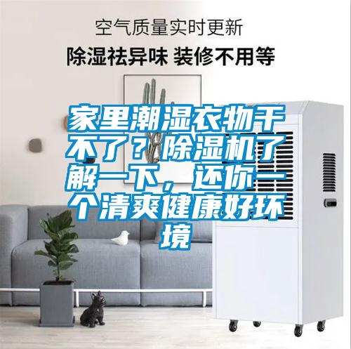 家里潮濕衣物干不了？除濕機了解一下，還你一個清爽健康好環境