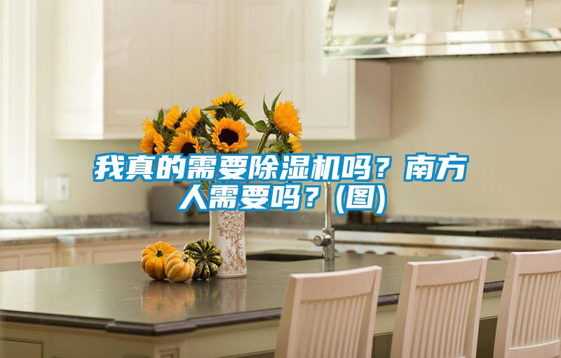 我真的需要除濕機嗎？南方人需要嗎？(圖)