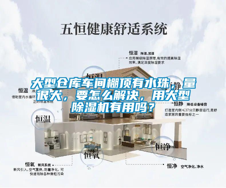 大型倉庫車間棚頂有水珠，量很大，要怎么解決，用大型除濕機有用嗎？