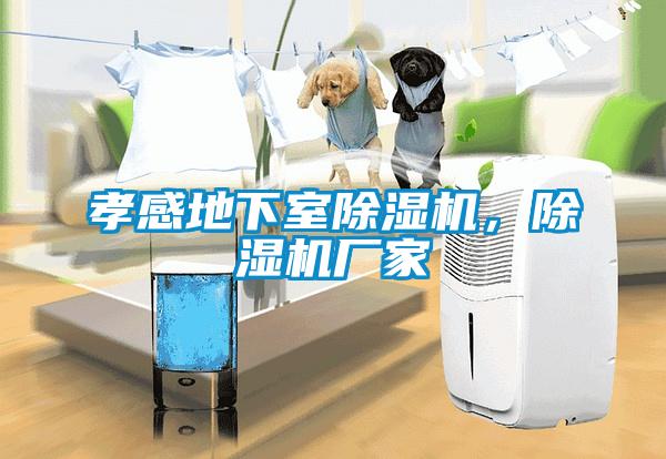 孝感地下室除濕機，除濕機廠家
