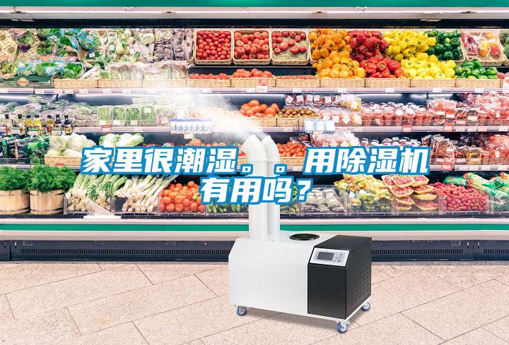 家里很潮濕。。用除濕機有用嗎？