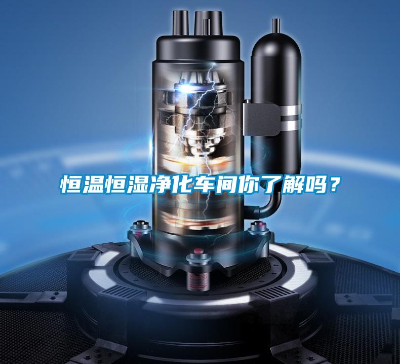 恒溫恒濕凈化車間你了解嗎？