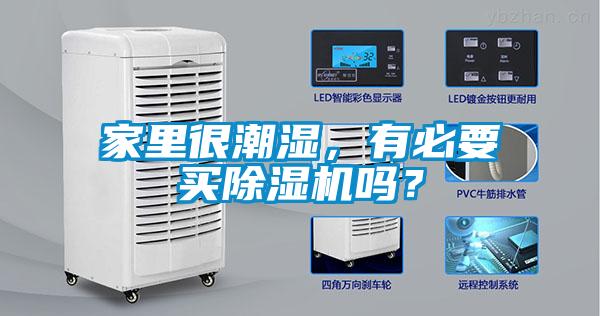 家里很潮濕，有必要買除濕機嗎？