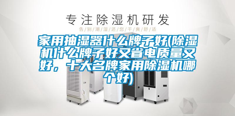 家用抽濕器什么牌子好(除濕機什么牌子好又省電質量又好，十大名牌家用除濕機哪個好)
