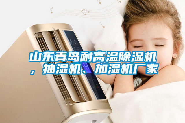 山東青島耐高溫除濕機，抽濕機、加濕機廠家