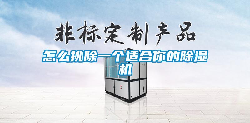 怎么挑除一個適合你的除濕機