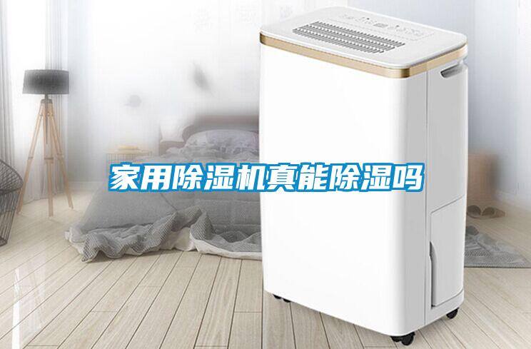 家用除濕機真能除濕嗎