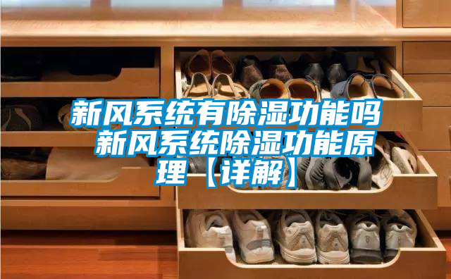新風系統有除濕功能嗎 新風系統除濕功能原理【詳解】