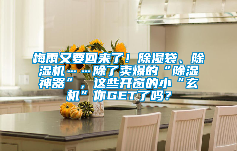 梅雨又要回來了！除濕袋、除濕機……除了賣爆的“除濕神器”，這些開窗的小“玄機”你GET了嗎？