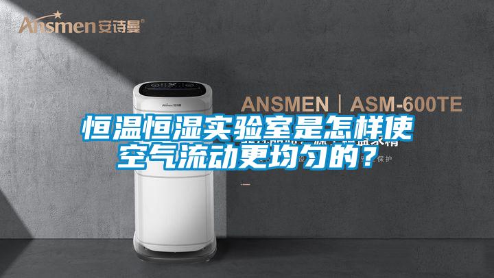 恒溫恒濕實驗室是怎樣使空氣流動更均勻的？