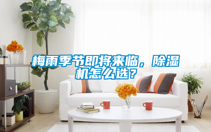 梅雨季節即將來臨，除濕機怎么選？