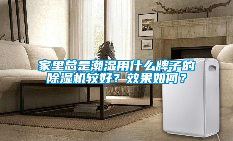家里總是潮濕用什么牌子的除濕機較好？效果如何？