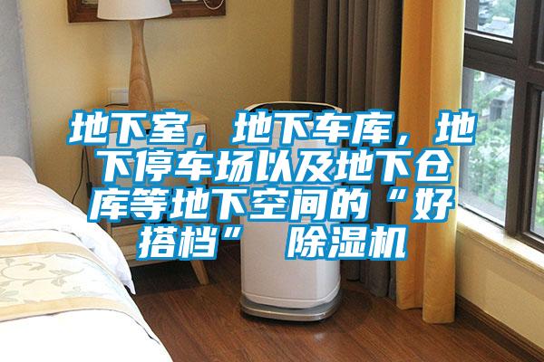 地下室，地下車庫，地下停車場以及地下倉庫等地下空間的“好搭檔” 除濕機