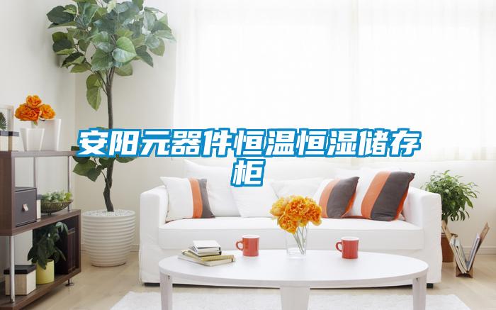 安陽元器件恒溫恒濕儲存柜