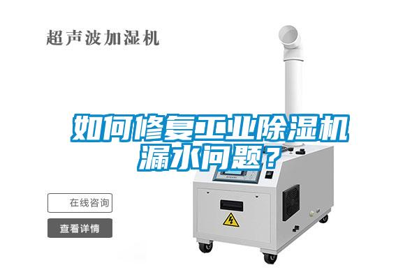 如何修復工業除濕機漏水問題？