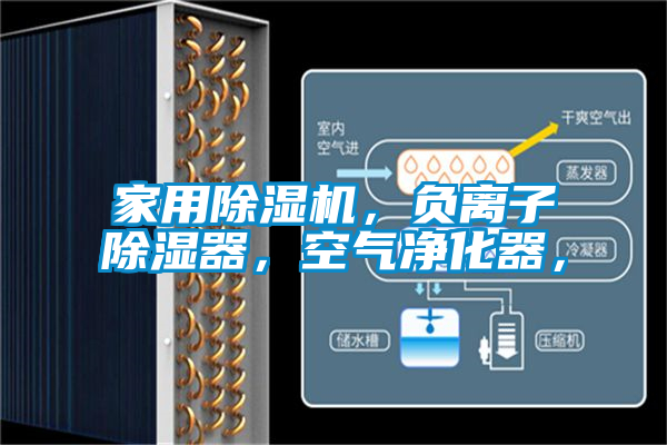 家用除濕機，負離子除濕器，空氣凈化器，