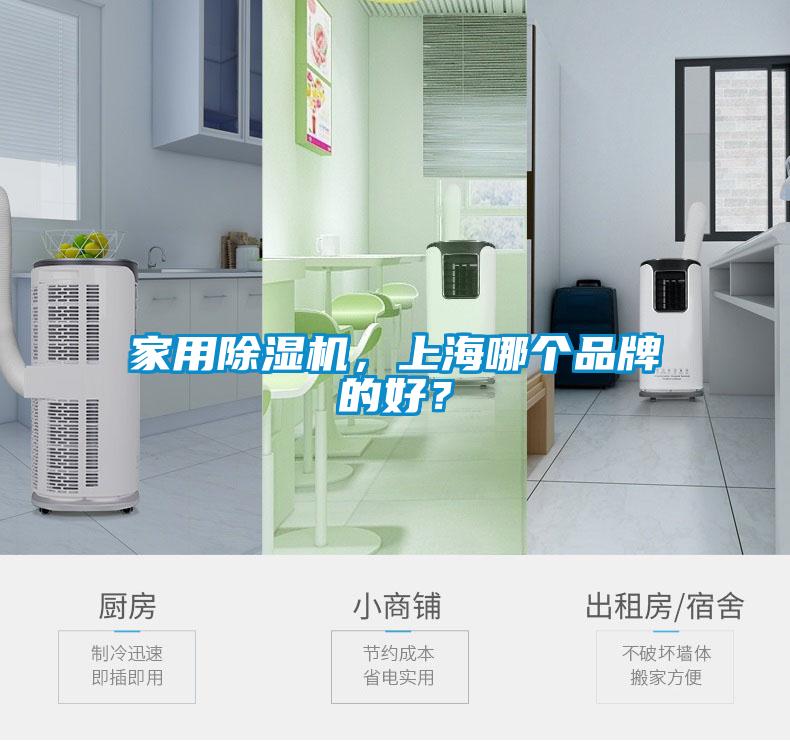 家用除濕機，上海哪個品牌的好？