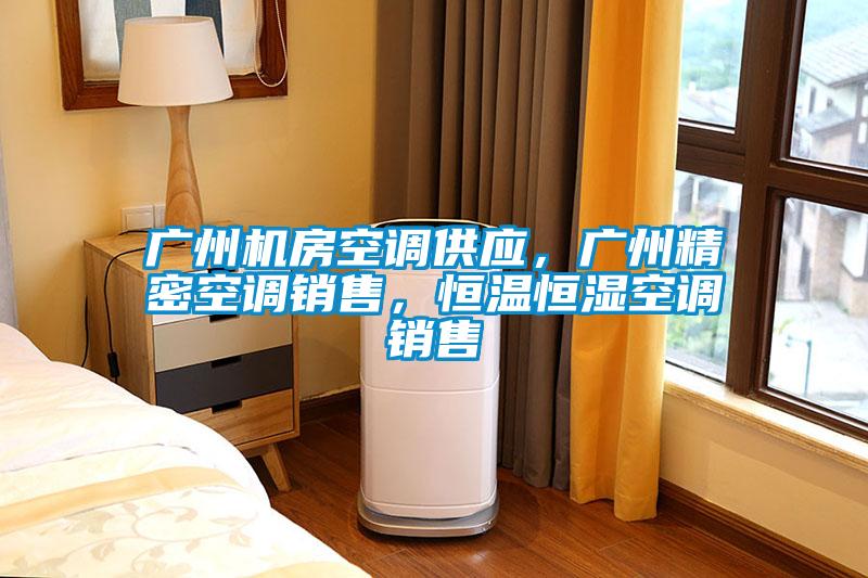 廣州機房空調供應，廣州精密空調銷售，恒溫恒濕空調銷售