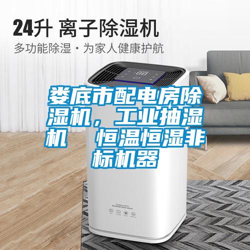 婁底市配電房除濕機，工業抽濕機  恒溫恒濕非標機器