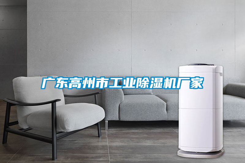 廣東高州市工業除濕機廠家