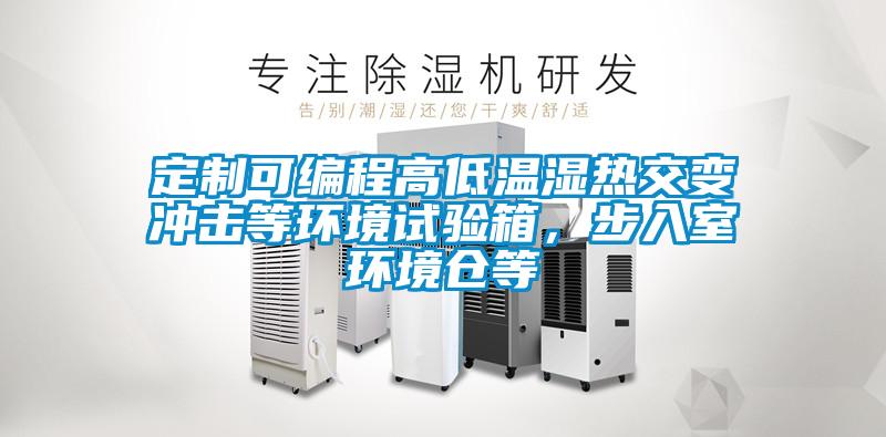 定制可編程高低溫濕熱交變沖擊等環境試驗箱，步入室環境倉等