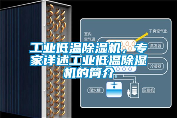 工業低溫除濕機，專家詳述工業低溫除濕機的簡介