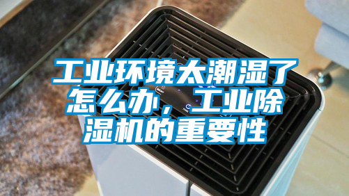 工業環境太潮濕了怎么辦，工業除濕機的重要性