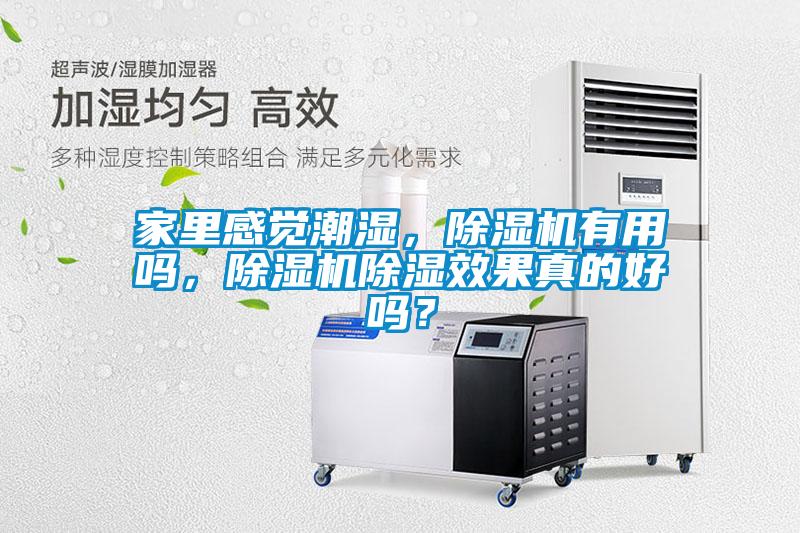 家里感覺潮濕，除濕機有用嗎，除濕機除濕效果真的好嗎？