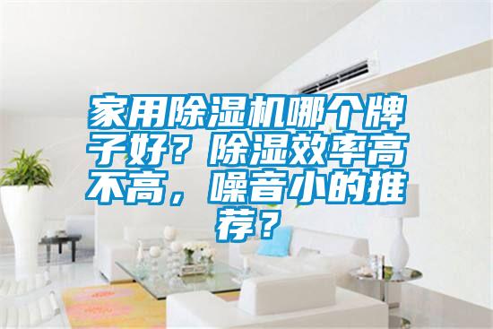家用除濕機哪個牌子好？除濕效率高不高，噪音小的推薦？