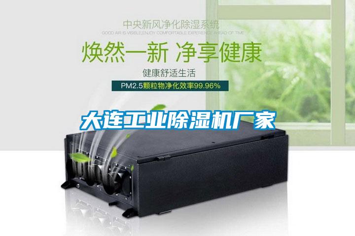 大連工業除濕機廠家