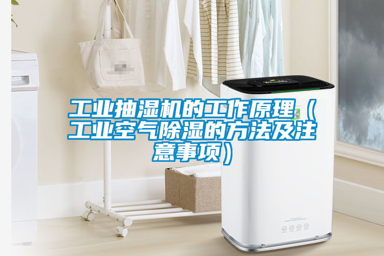 工業抽濕機的工作原理（工業空氣除濕的方法及注意事項）