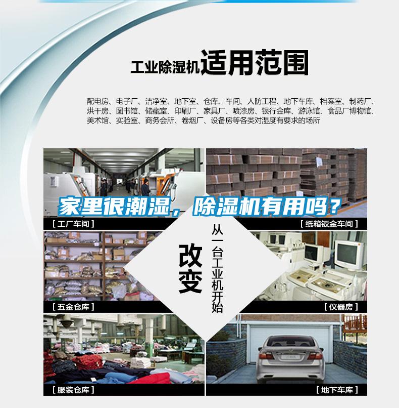 家里很潮濕，除濕機有用嗎？