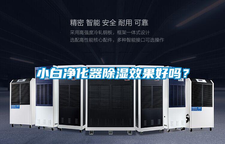小白凈化器除濕效果好嗎？