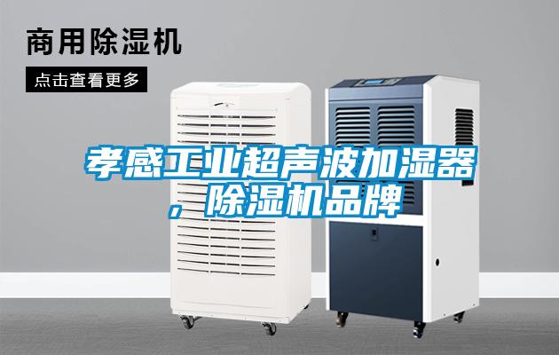 孝感工業超聲波加濕器，除濕機品牌