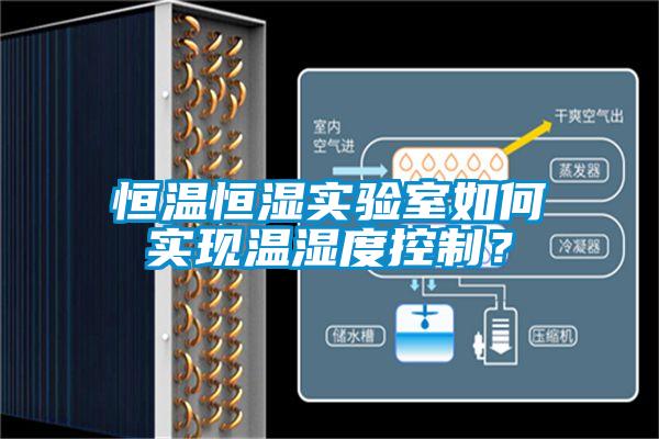 恒溫恒濕實驗室如何實現溫濕度控制？