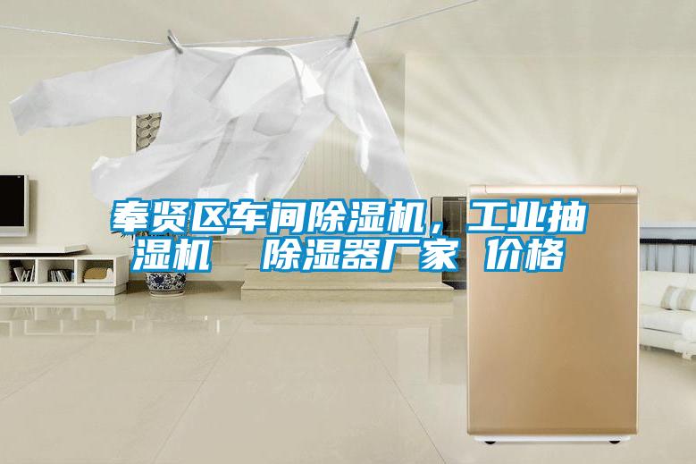 奉賢區車間除濕機，工業抽濕機  除濕器廠家 價格