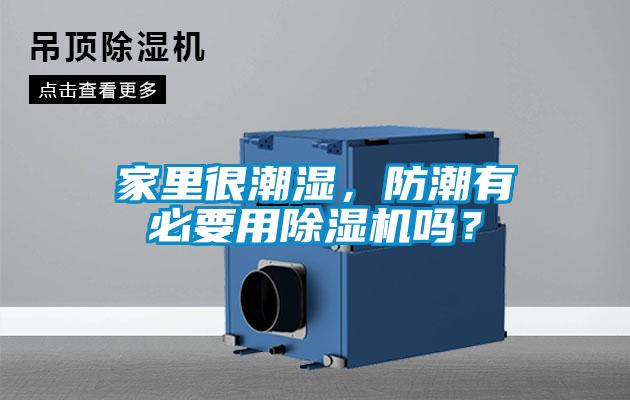 家里很潮濕，防潮有必要用除濕機嗎？