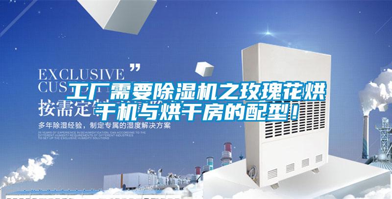 工廠需要除濕機之玫瑰花烘干機與烘干房的配型！