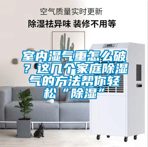 室內濕氣重怎么破？這幾個家庭除濕氣的方法幫你輕松“除濕”