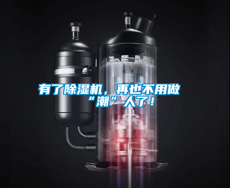 有了除濕機，再也不用做“潮”人了！