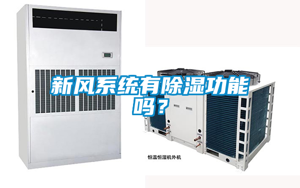 新風系統有除濕功能嗎？