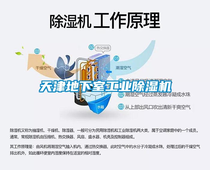 天津地下室工業除濕機