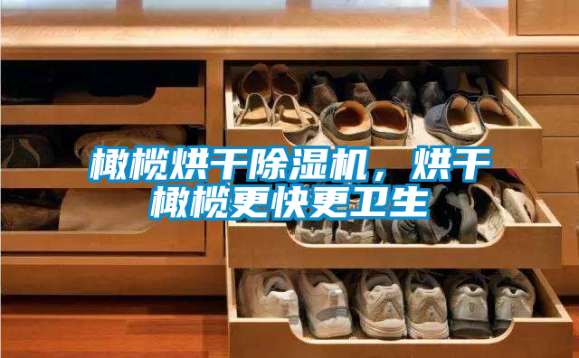 橄欖烘干除濕機，烘干橄欖更快更衛生