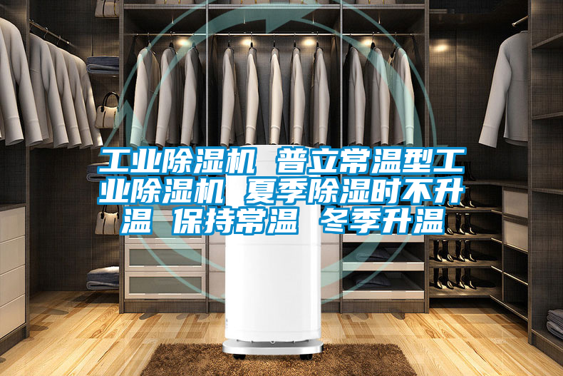 工業除濕機 普立常溫型工業除濕機 夏季除濕時不升溫 保持常溫 冬季升溫