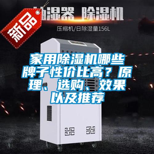 家用除濕機哪些牌子性價比高？原理、選購、效果以及推薦